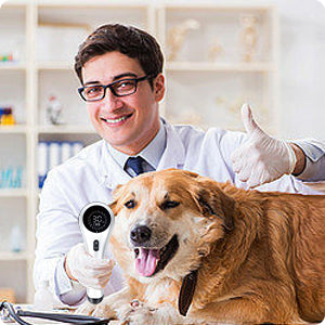 Home-use Pets 808nm & 650nm Cold Laser Therapy Device Pinfriy®